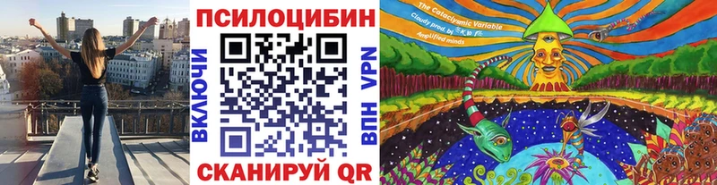 Псилоцибиновые грибы Cubensis  Купить  Сальск 